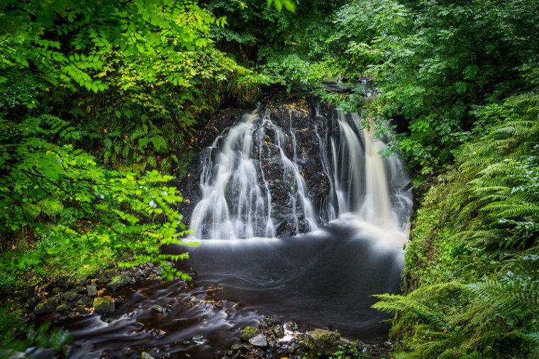 10 Glenariff Forest Park.jpg